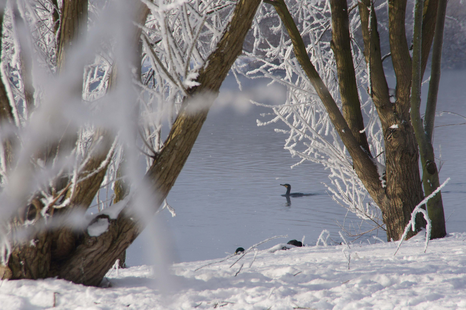 baden bei -15°c