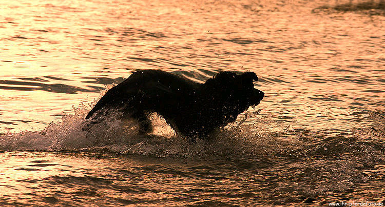 Baden bei Sonnenuntergang (reload)