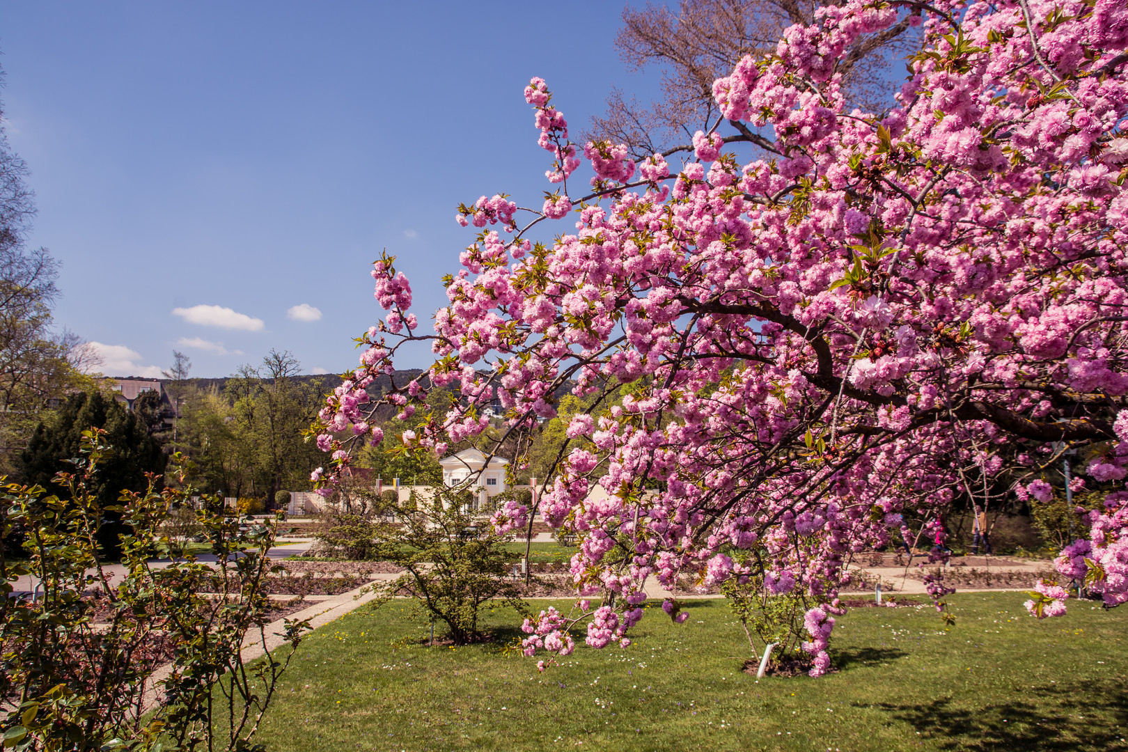 Baden bei Wien - Doblhoffpark