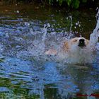 Baden, das schönste bei diesem warmen Wetter