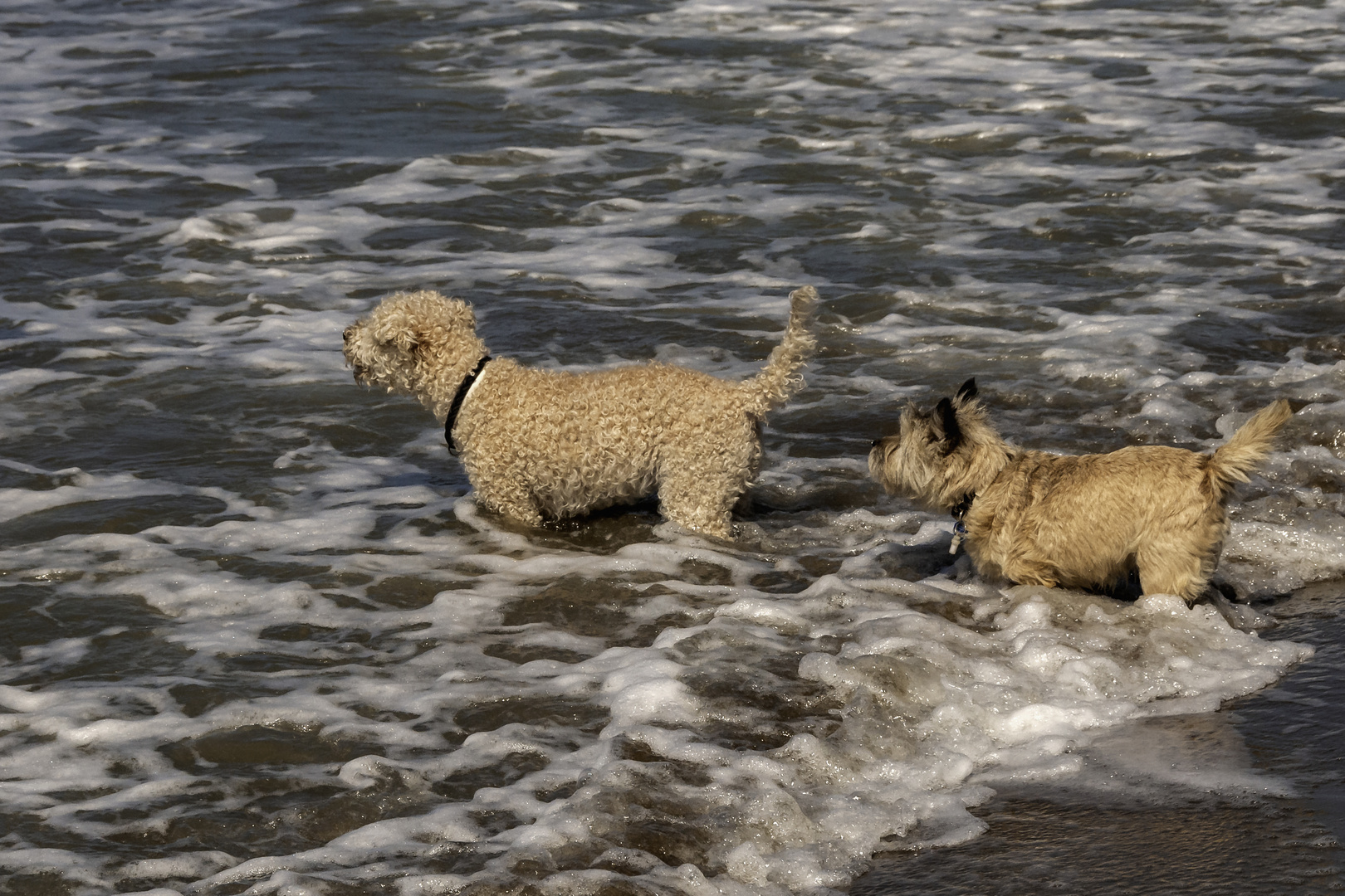 Baden im Doppelpack