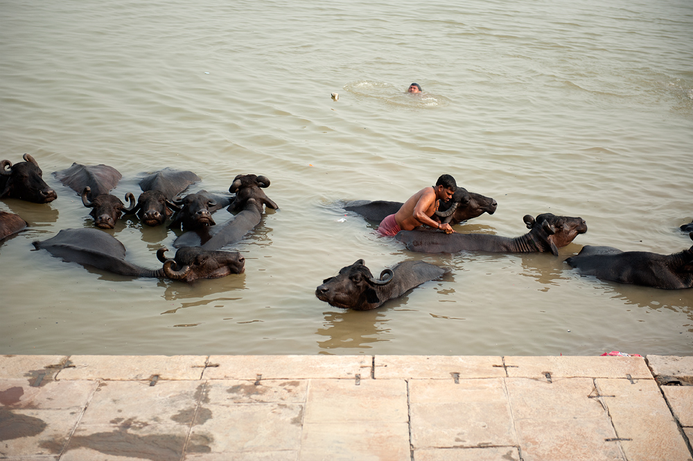 Baden im Ganges