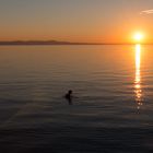 Baden im letzten Licht des Tages