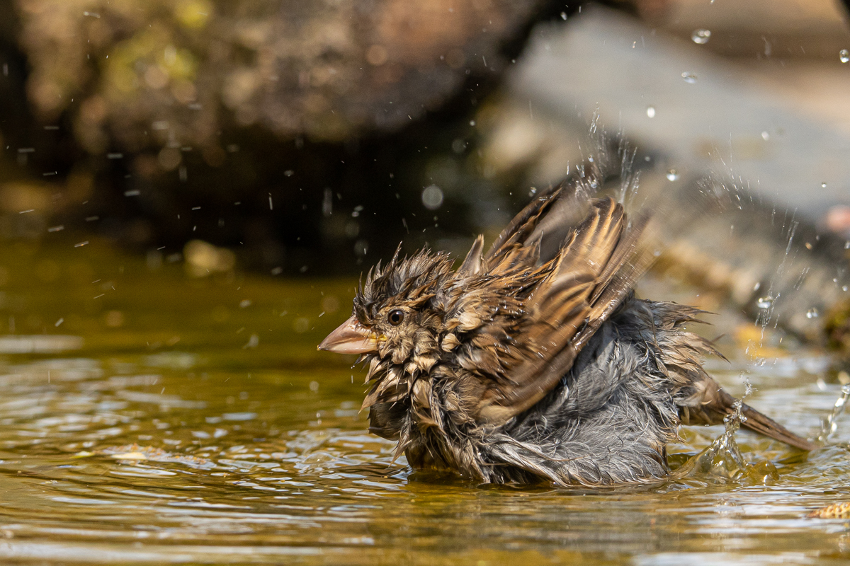 Baden ist herrlich