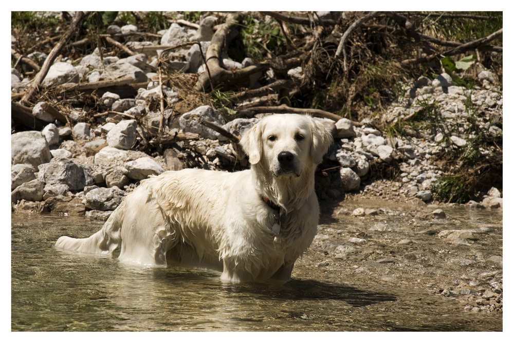 Baden ist so schön ............