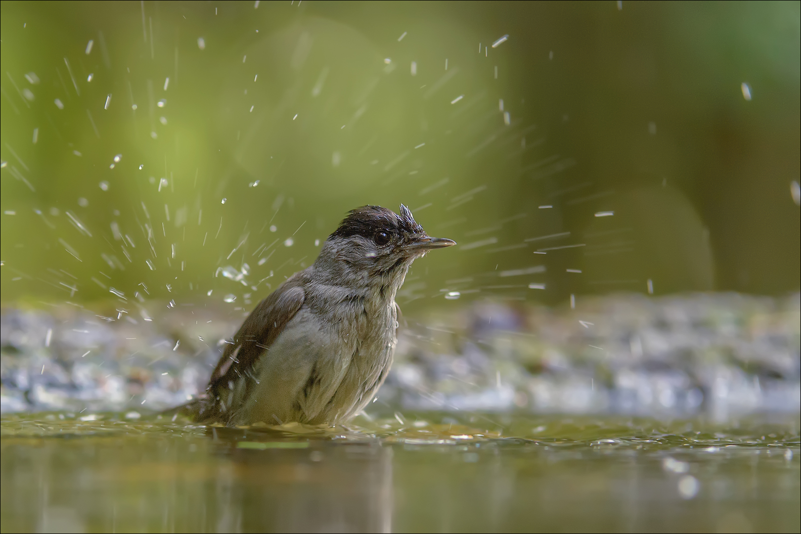 baden macht immer spass