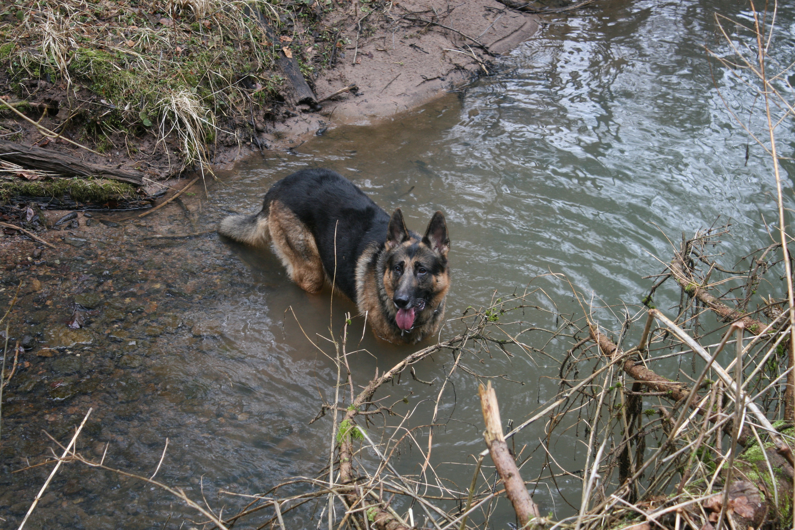 Baden macht Laune