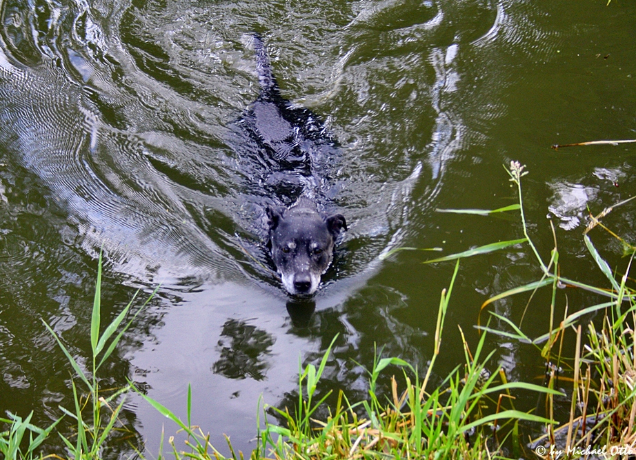 Baden macht Spaß !!