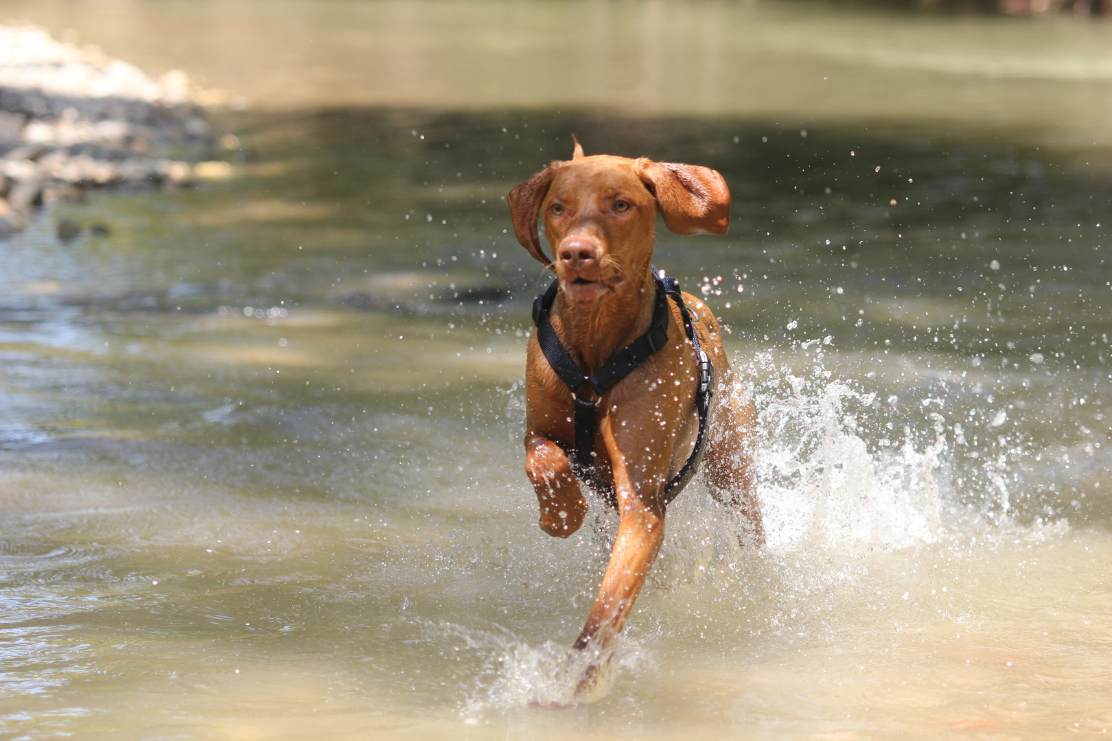 Baden macht Spass