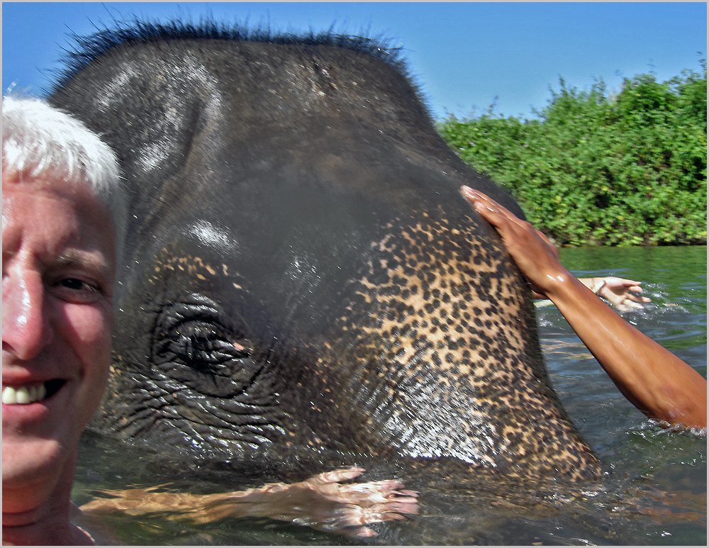 Baden mit Elefanten/ Ko Chang Thailand