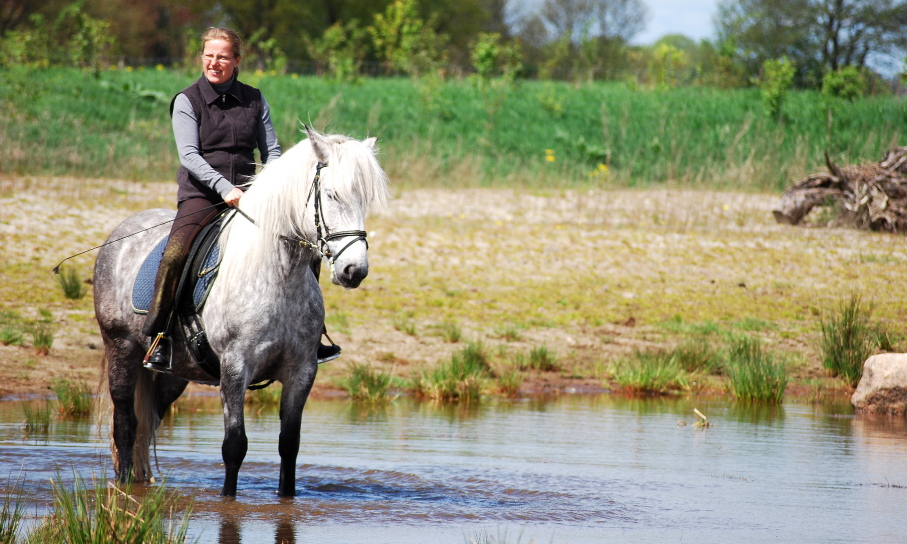 Baden mit Highlandpony