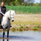 Baden mit Highlandpony