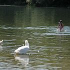 " Baden neben Schwänen "Rhein- Fahrradtour 6