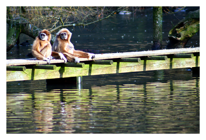 Baden oder Nichtbaden...