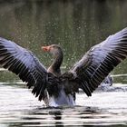 Baden vor der Nachtruhe