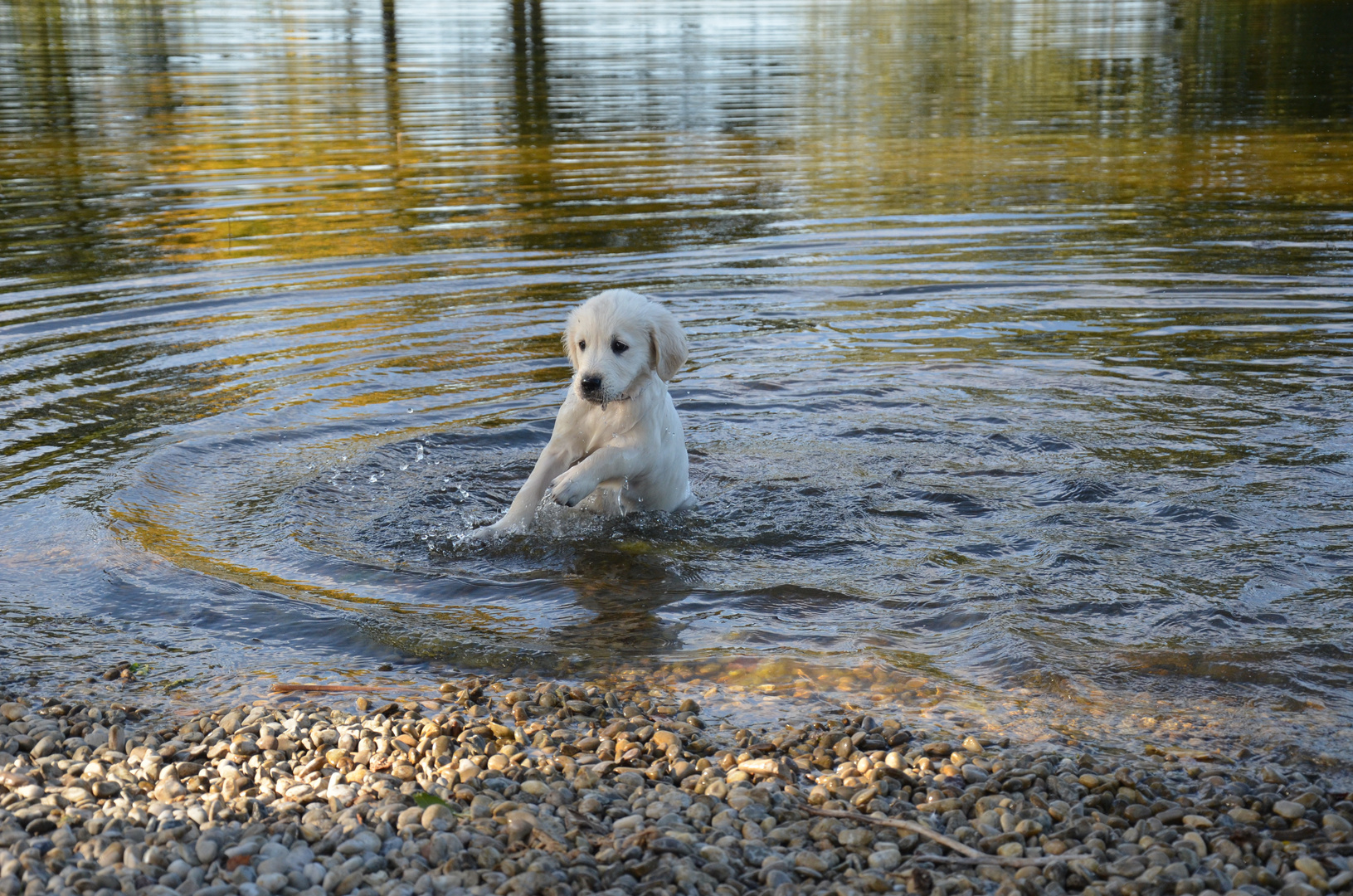 Baden will gelernt sein