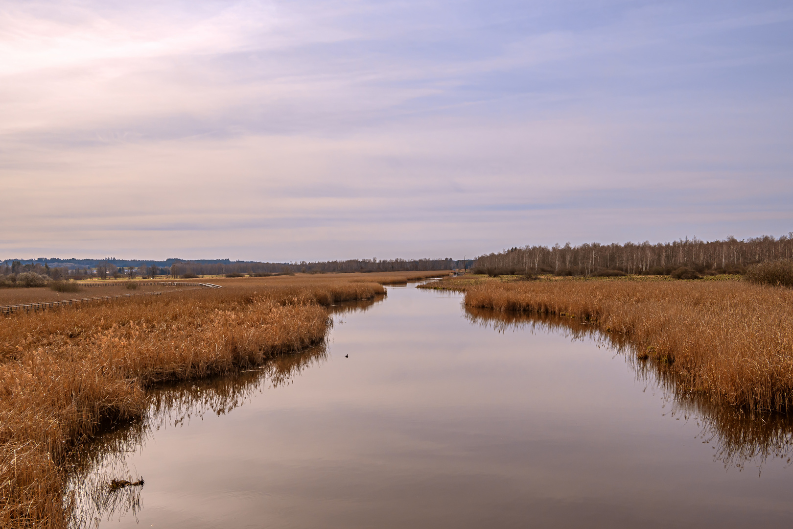 BADEN-WÜRTTEMBERG : FEDERSEE BAD BUCHAU