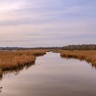 BADEN-WÜRTTEMBERG : FEDERSEE BAD BUCHAU