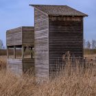 BADEN-WÜRTTEMBERG : FEDERSEE BAD BUCHAU