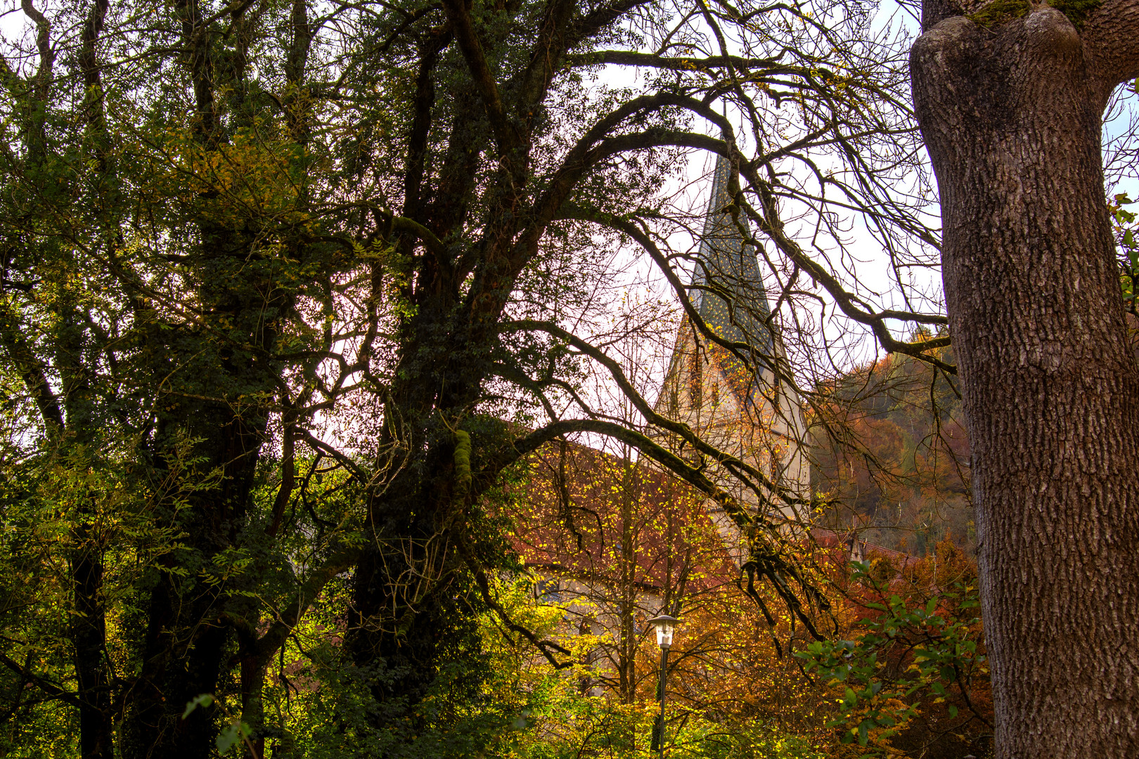 BADEN-WUERTTEMBERG : KLOSTERTURM BLAUBEUREN