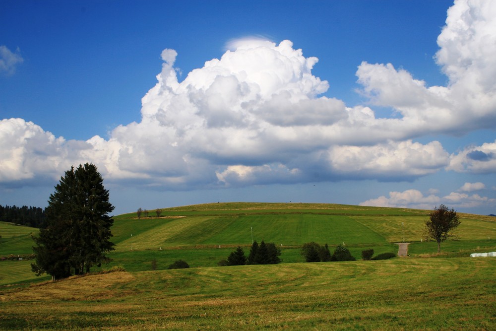 Baden-Württemberg, Schwarzwald, Todtmoos / Herrenschwand