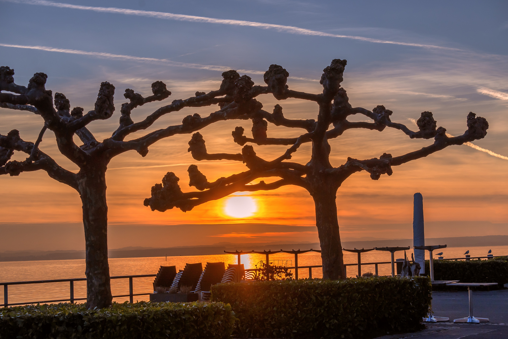 BADEN-WÜRTTEMBERG : SONNENUNTERGANG IN FRIEDRICHSHAFEN