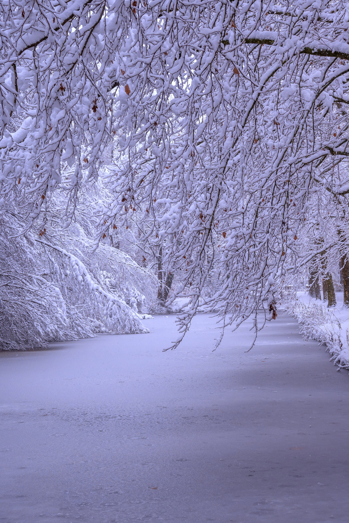 BADEN-WÜRTTEMBERG : WINTERSTIMMUNG