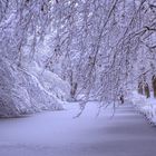 BADEN-WÜRTTEMBERG : WINTERSTIMMUNG