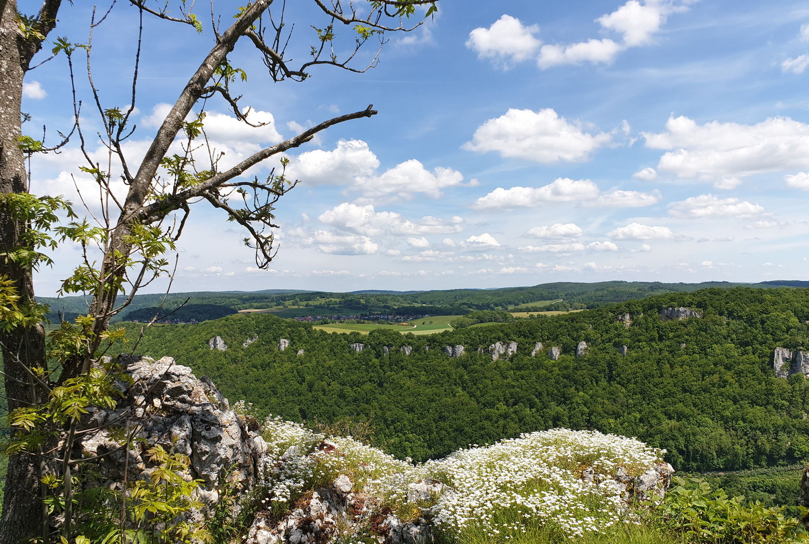 Baden Württemberg...auch nett!