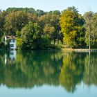 Baden Württembergische Rheinidylle....