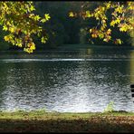 Badenburger See im Schloßpark Nymphenburg