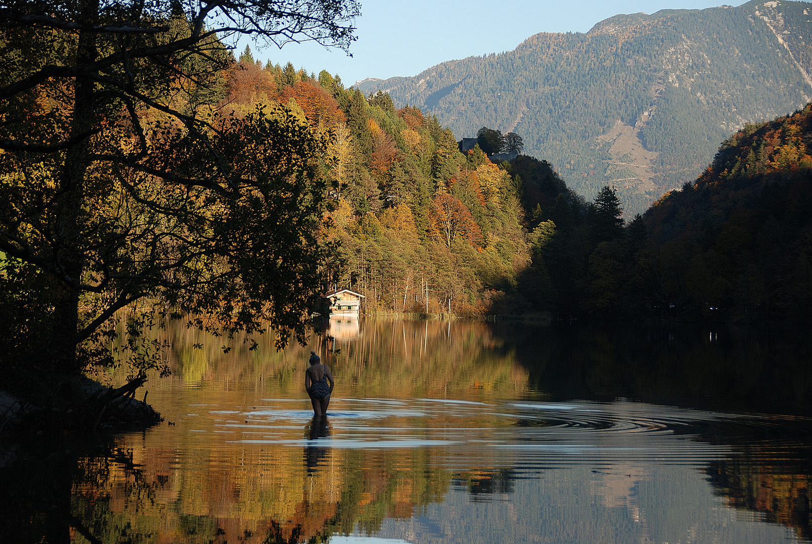 badenixe im herbst