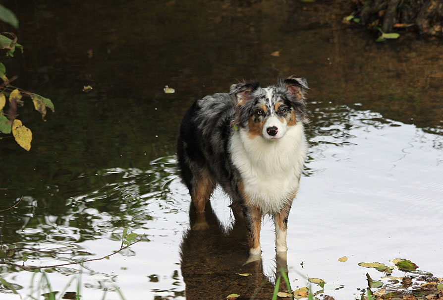 - Badesaison... -