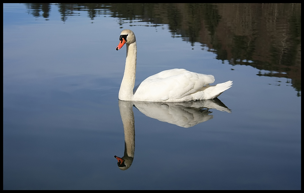 Badesaison am Schwanensee;