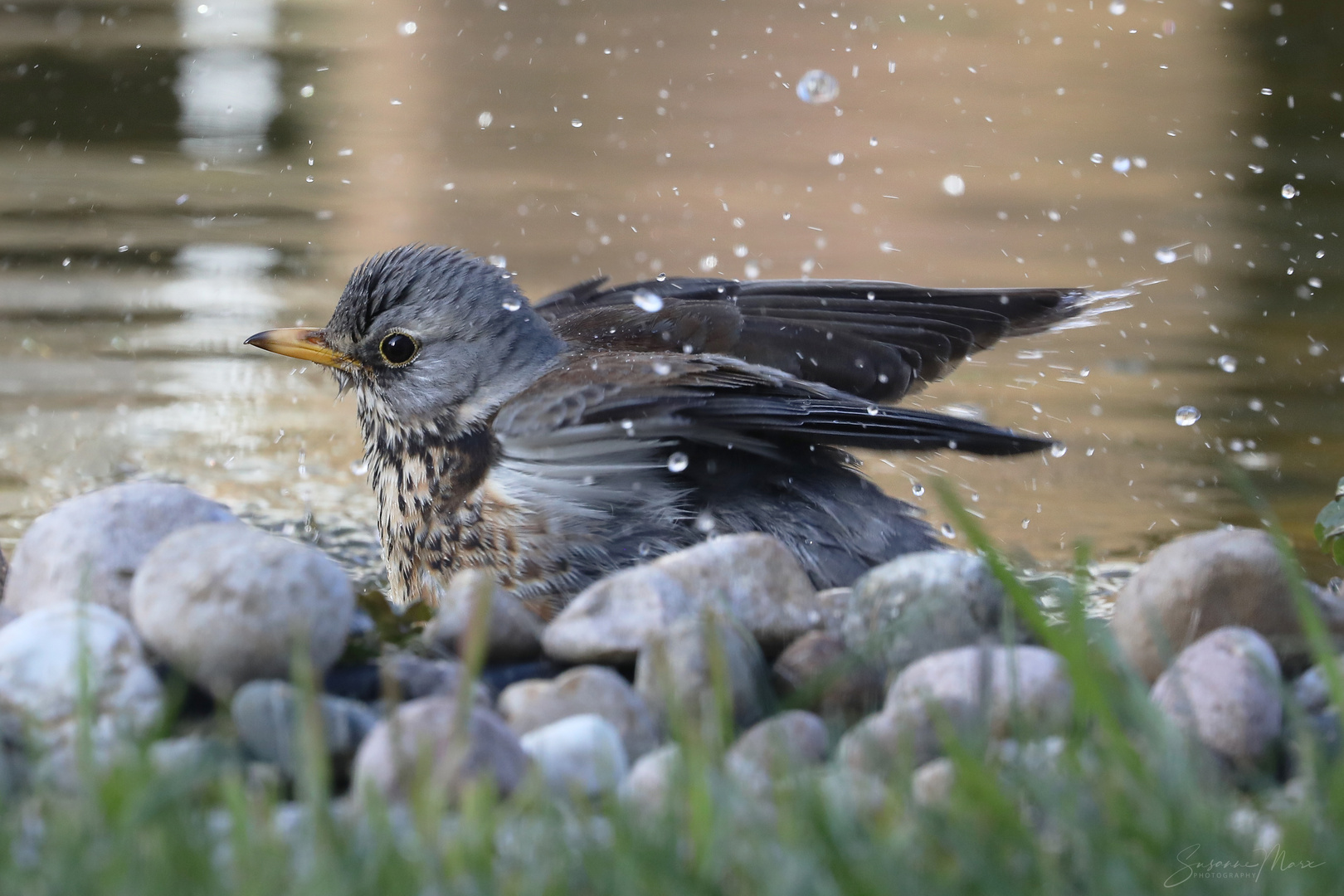 Badesaison ist eröffnet