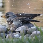 Badesaison ist eröffnet