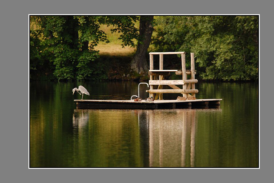 Badesaison mit Bademeister