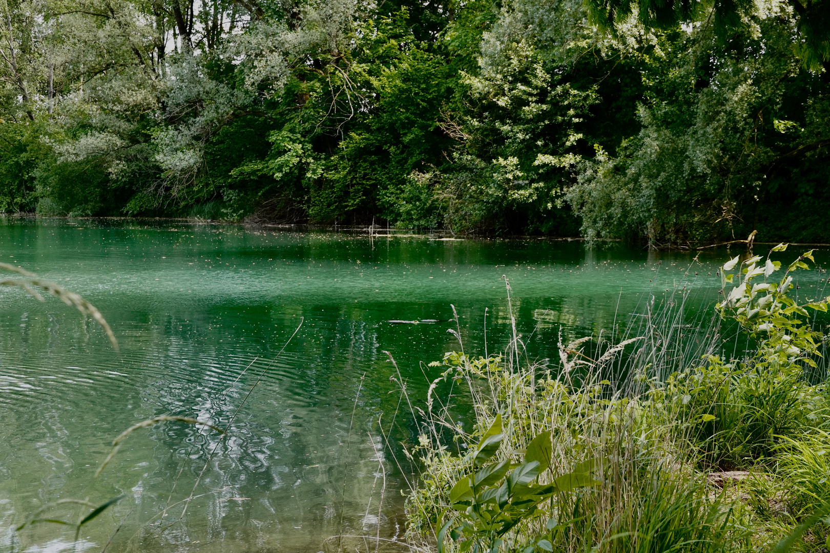 Badesee im Landkreis Erding