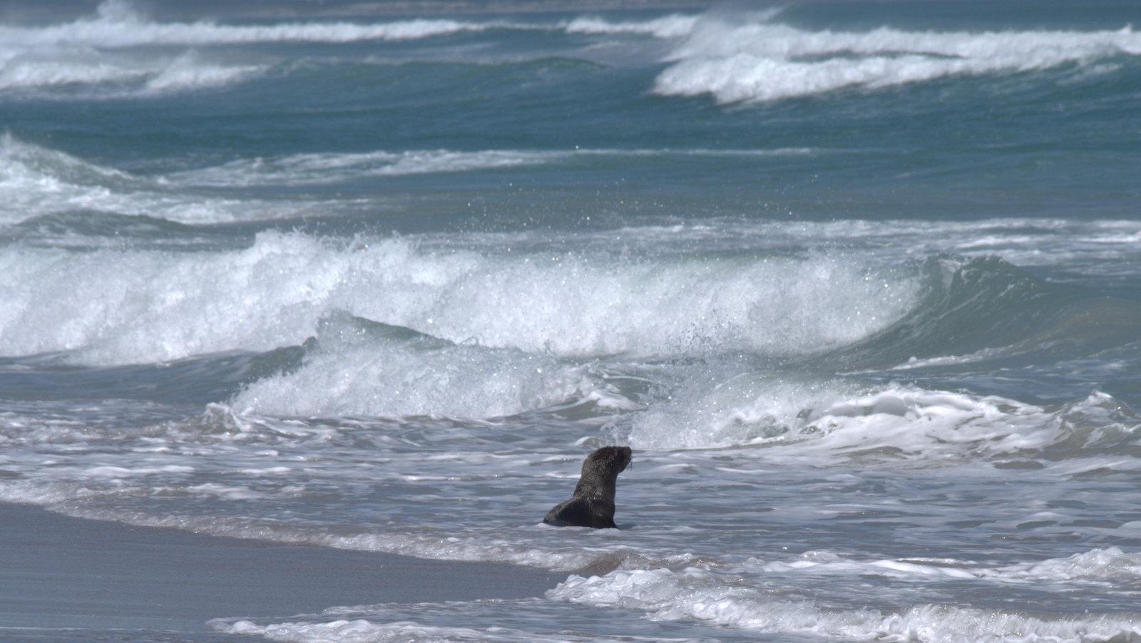 Badespaß am Grotto Beach bei Hermanus