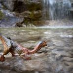 Badespaß am Wasserfall