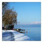 Badespass am/im Bodensee