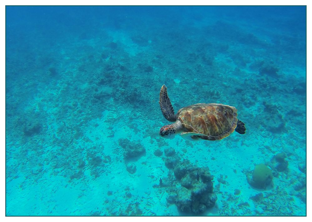 Badespaß auf Curacao