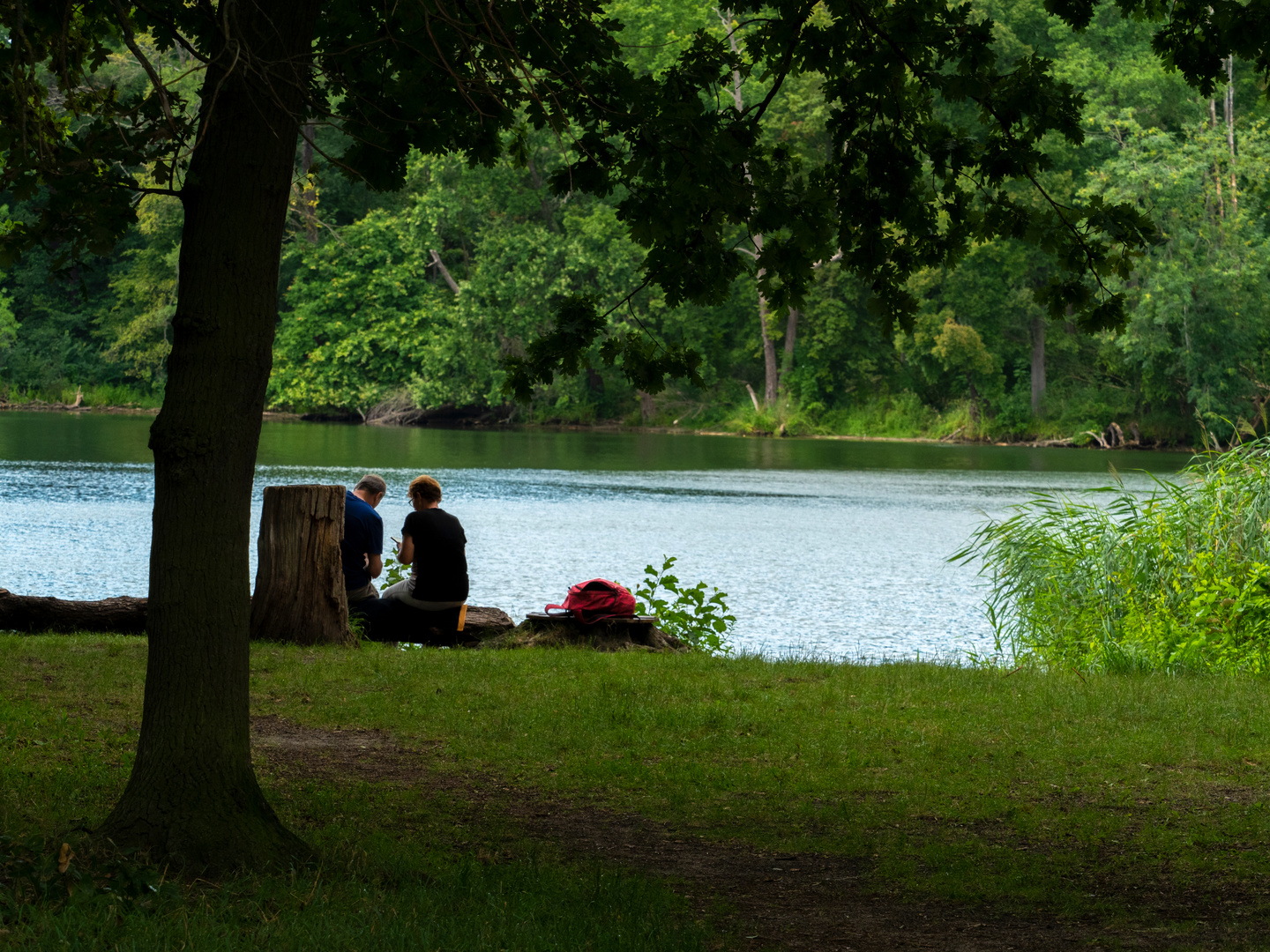 Badestelle am Plessower See