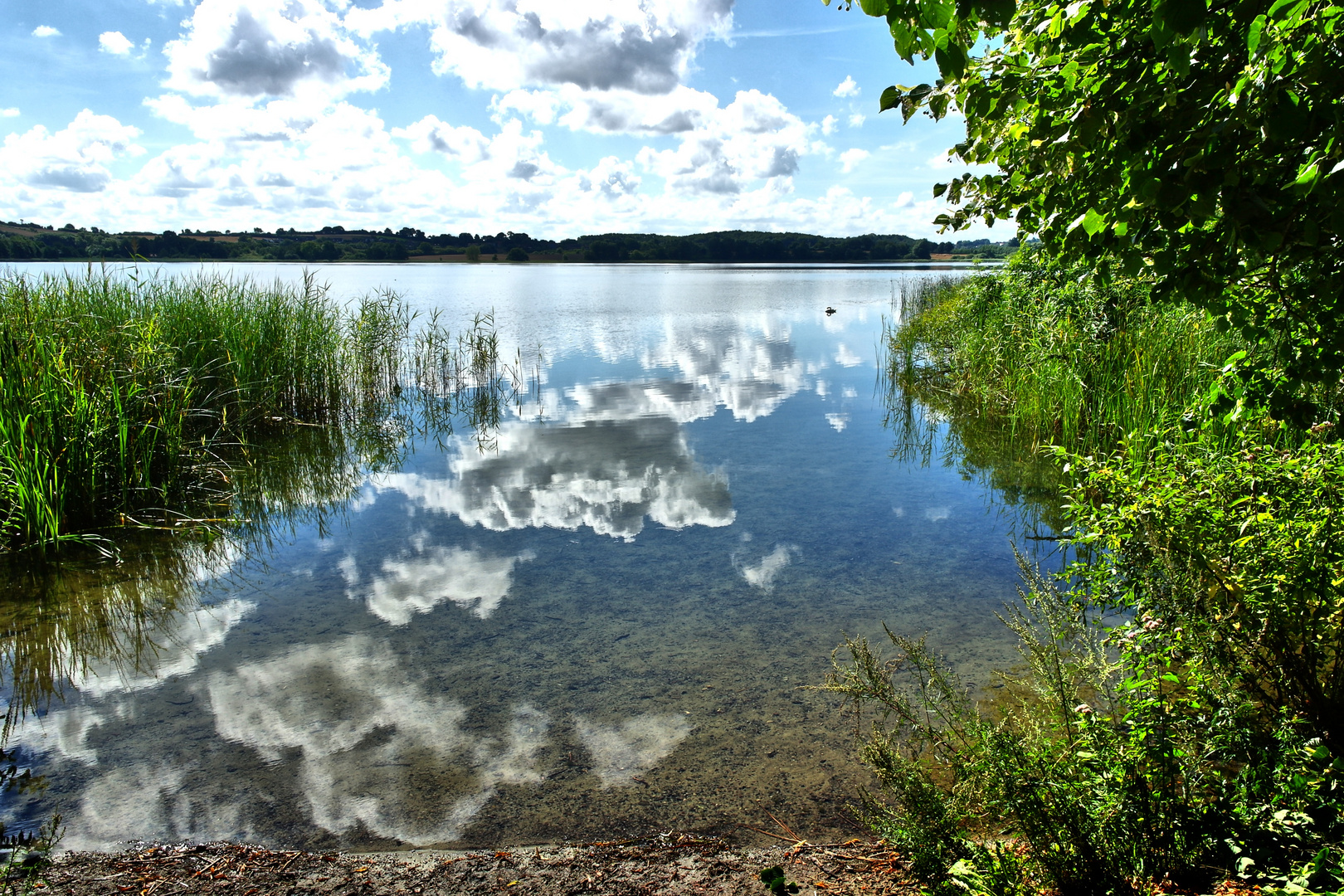 Badestelle am Segeberger See