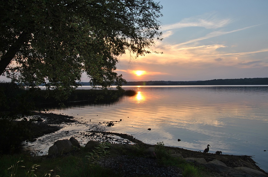 Badestelle am Tollensesee 