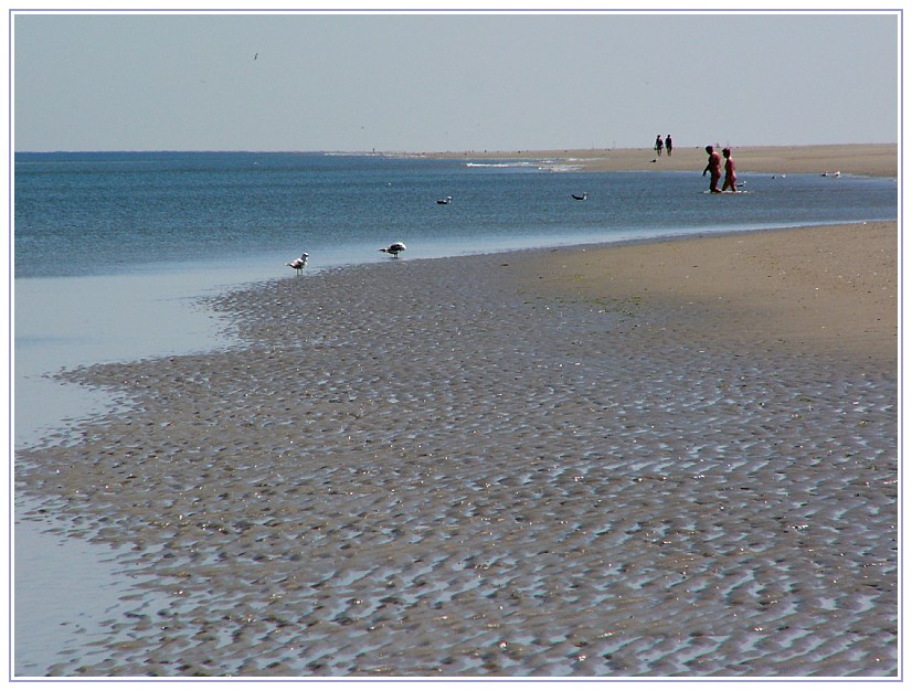 Badestrand auf Schiermonnikoog