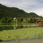 Badestrand Weissensee