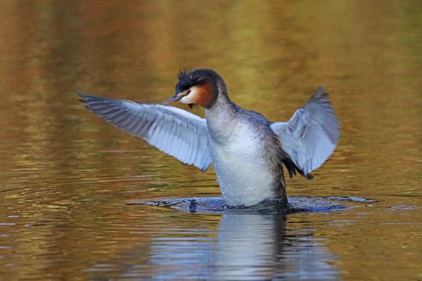 Nici76 - Fotos & Bilder - Fotografin aus Tönisvorst, Deutschland