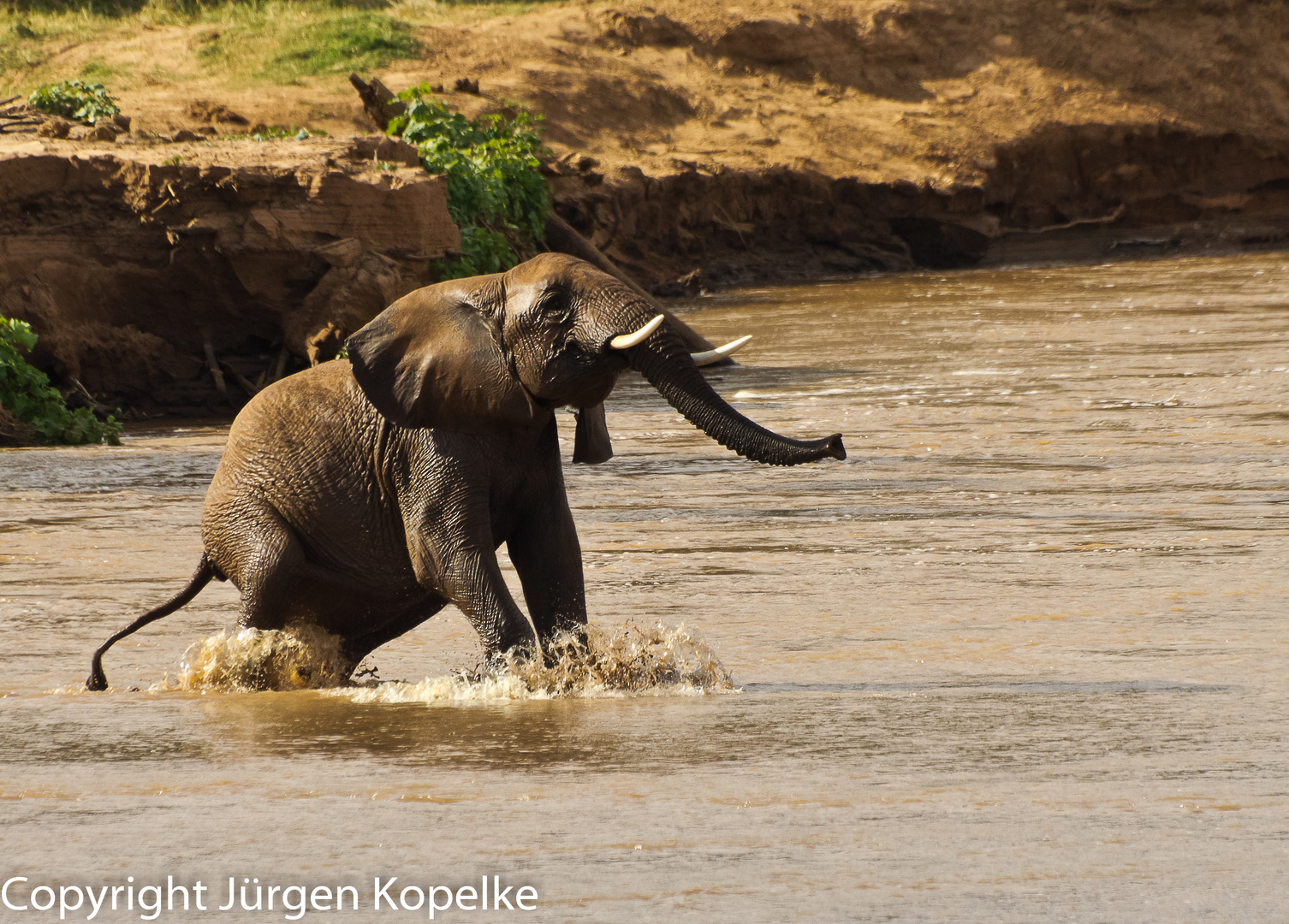 Badetag im Samburu NP