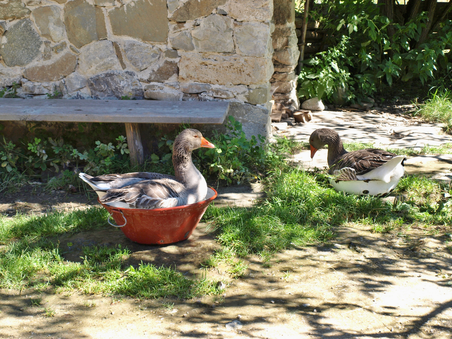 Badetag in Wasmeiers Bauernhausmuseum